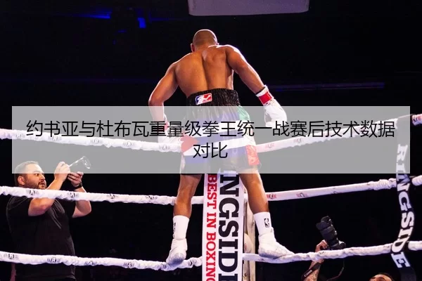 约书亚与杜布瓦重量级拳王统一战赛后技术数据对比